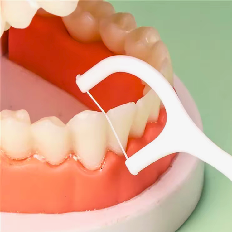 Fio Dental com Haste